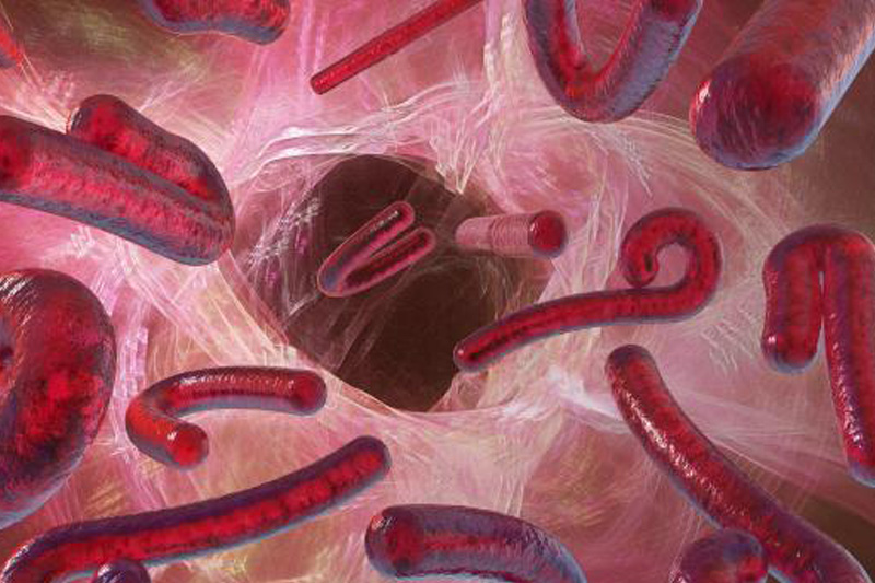  Ebola se tornou ainda mais mortal durante a epidemia africana